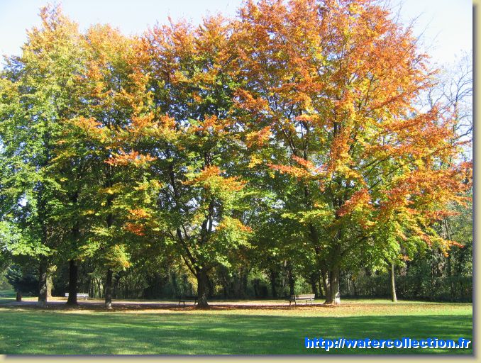 Diapositive suivante